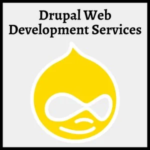 Premier drupal web development services by csschopper