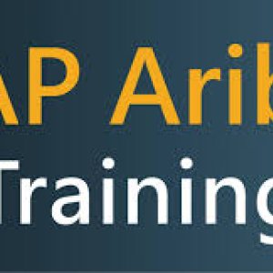 Sap ariba training