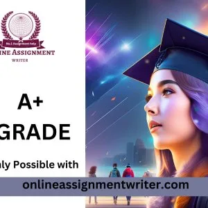 Professional assignment help service