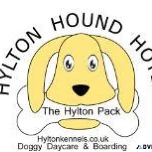 Premier Doggy Day Care Service in Solihull