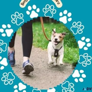 Expert Dog Walking Services Mysore