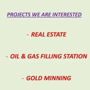Investor looking for a reliable foreign partner to invest