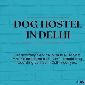 Dog Hostel and Pet Boarding Service in Delhi NCR