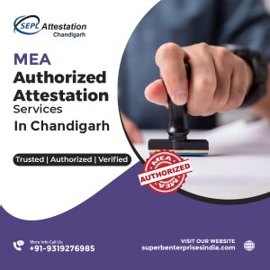 Get fast & reliable mea attestation in chandigarh