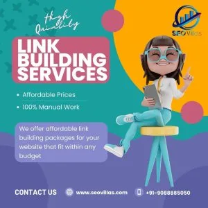 Professional backlink building services at competitive prices