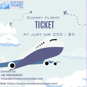 Dummy flight ticket