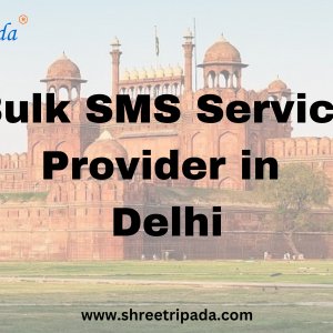 Bulk sms service provider in delhi | try free sms now
