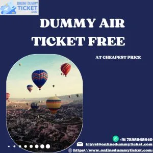 Dummy air ticket