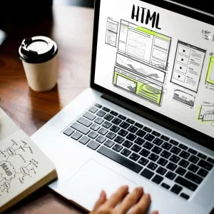 Website design: exciting opportunity with a top agency in delhi