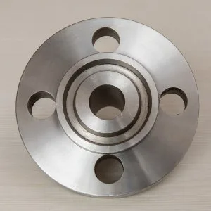Ibr approved flanges