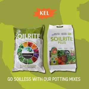 Soilless mixture for indoor gardening | cocopeat soil for plants