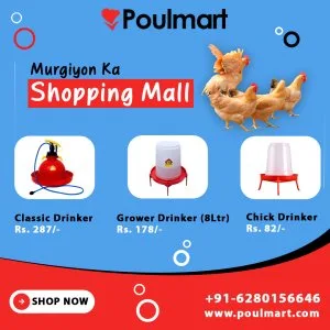 Poulmat | online shoping for poultry product