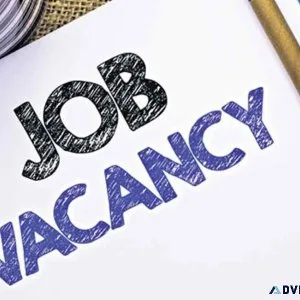 Full Stack Developer Jobs