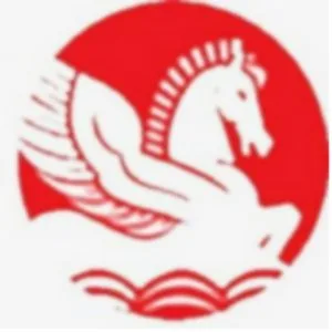 Singhal industries pvt ltd