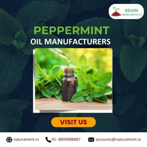Peppermint oil manufacturers