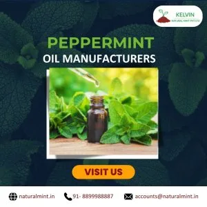 Peppermint oil manufacturers