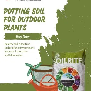 Best potting soil for outdoor plants
