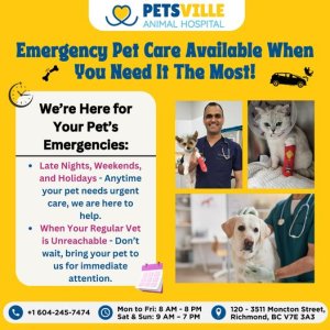 Petsville animal hospital- richmond vet