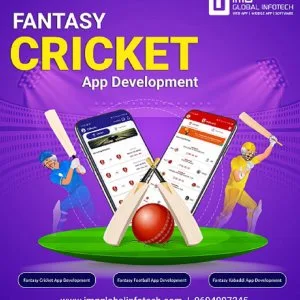 Fantasy cricket app development in india