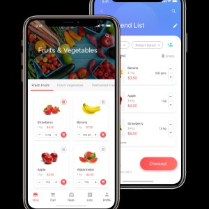 Grocery delivery app development