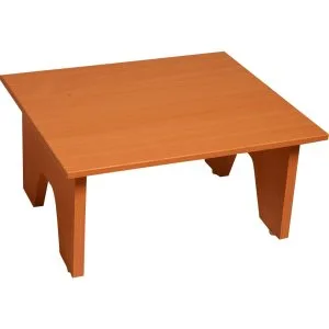 Wooden educational toyd lucknow