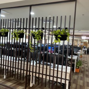 Indoor plant rental services in gurgaon and noida