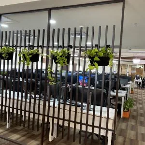 Indoor plant rental services in gurgaon and noida