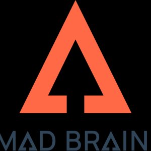 The mad brains - providing industry best it solutions