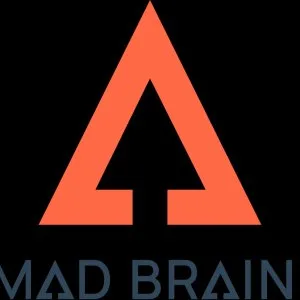 The mad brains - providing industry best it solutions
