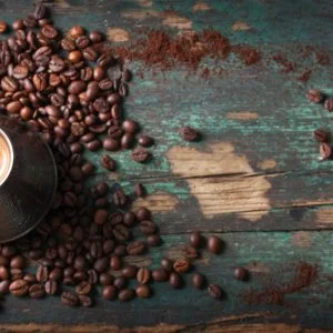 Coffee franchise in ludhiana