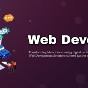 Web development company in india: acemakers technologies