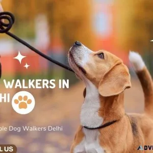 Expert Dog Walking Services Delhi