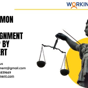 Common law assignment help by expert