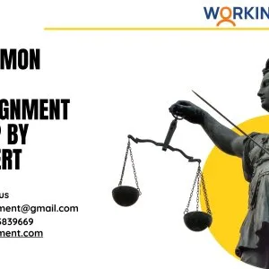 Common law assignment help by expert