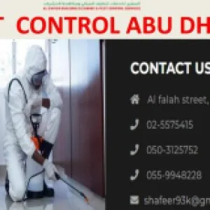 Best flies pest control services abu dhabi | flies control
