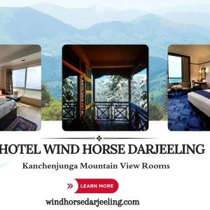 Hotel wind horse | best hotel near darjeeling mall