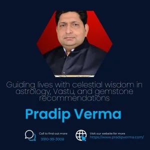 Expert vastu & astrology services