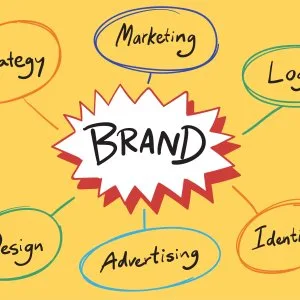 From spark to spectacle: building brands that shine