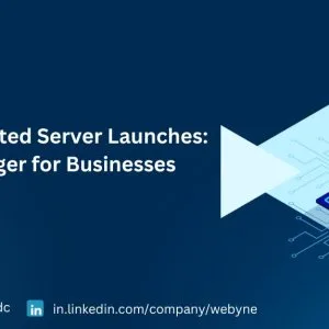 Boost your business with webyne s dedicated server