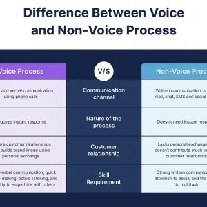 Top leading nagpur non-voice service company | vflyorions