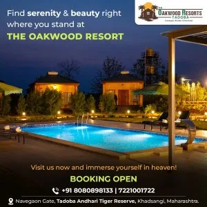 Best resorts in tadoba