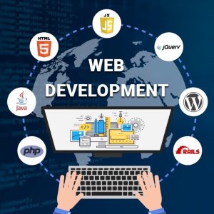 Expert website development services in india - vflyorions