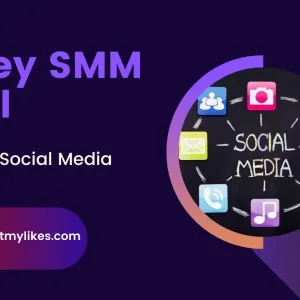 Premium account smm panel-getmylikes