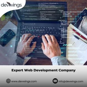 Expert web development company | devwings