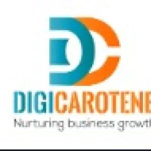 Elevate a premier website development company in hyderabad