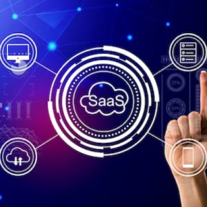 Seo company in india