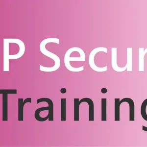 Mastering sap security: from basics to advanced