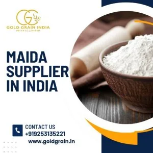 Maida suppliers in india