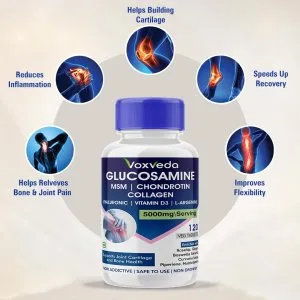 Glucosamine chondroitin msm - joint support supplement