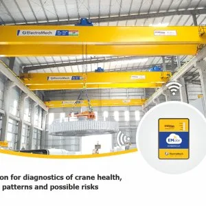 Best eot crane manufacturer in india